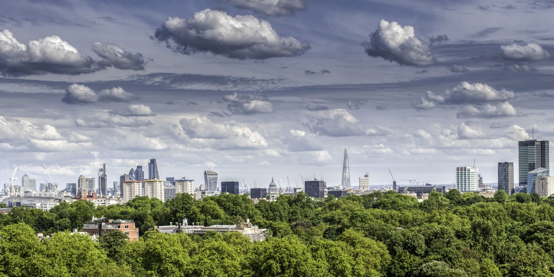 London skyline with trees in the foreground